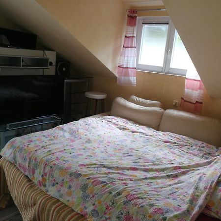 WOHLFÜHLOASE - Zimmer, Appartment - im Herzen STARNBERGS Zimmer foto