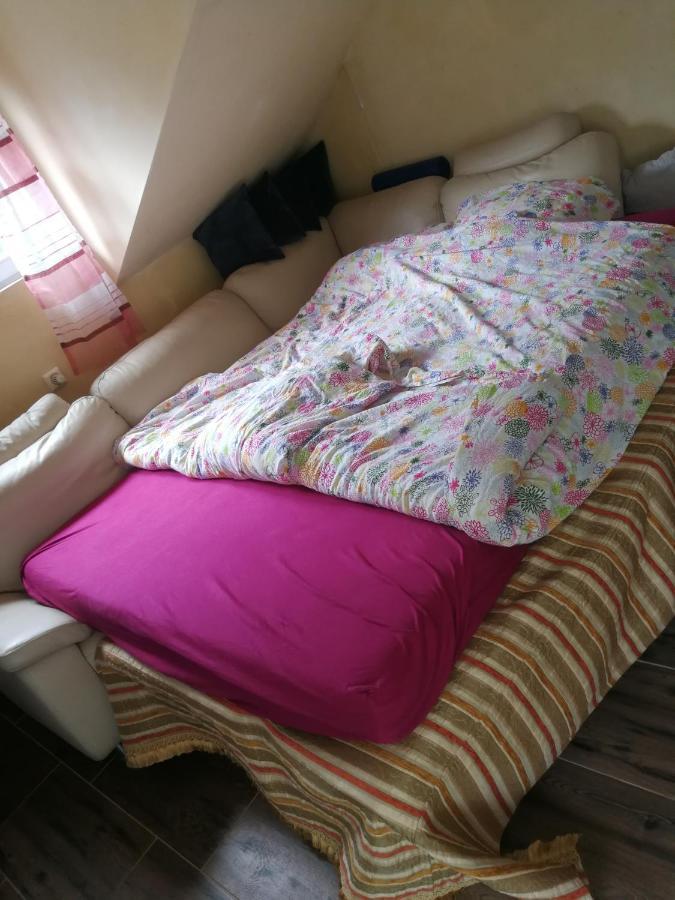 WOHLFÜHLOASE - Zimmer, Appartment - im Herzen STARNBERGS Zimmer foto