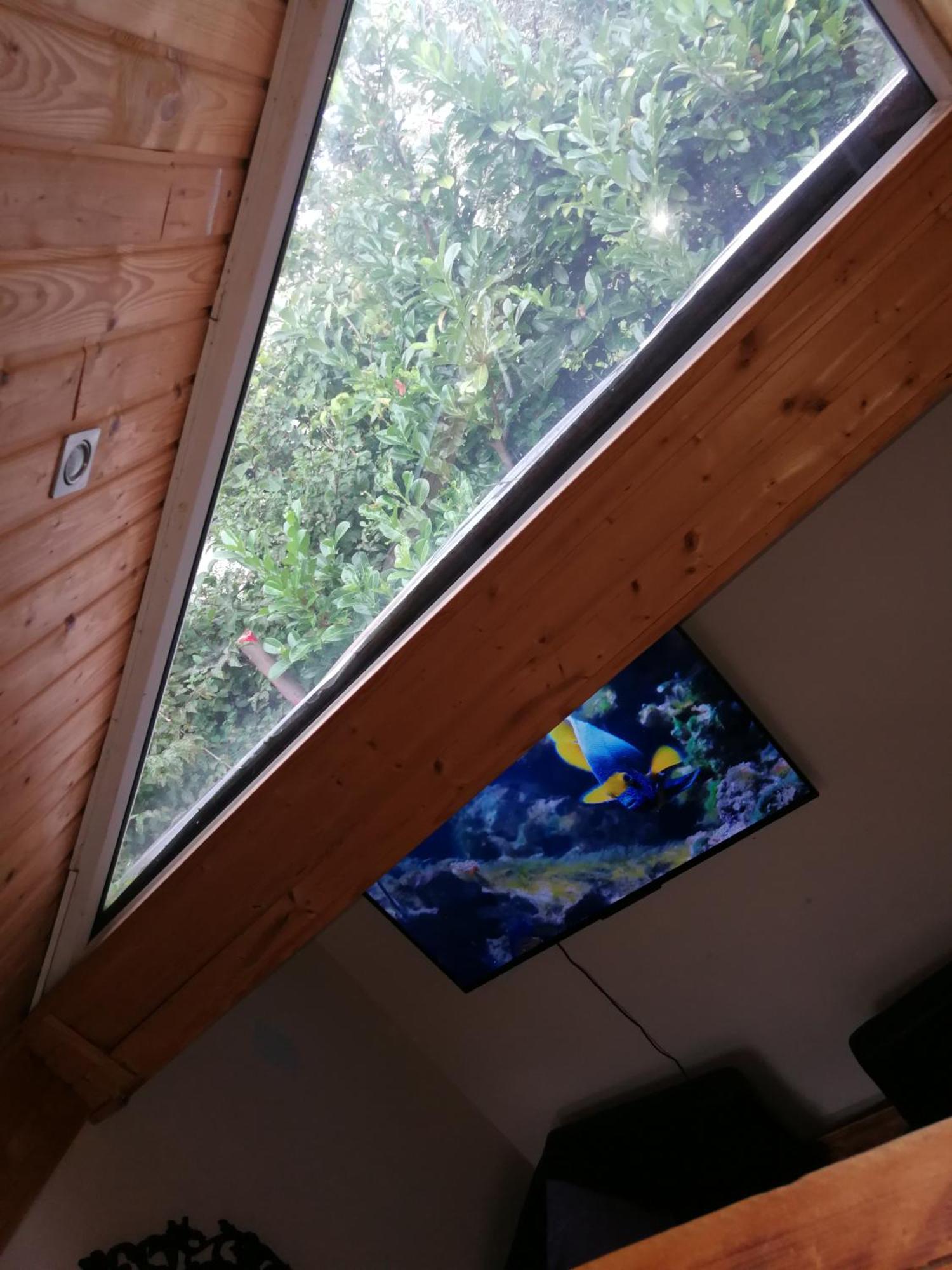 WOHLFÜHLOASE - Zimmer, Appartment - im Herzen STARNBERGS Zimmer foto